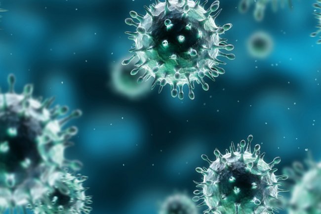 Union Minister of Education launches “World 1st affordable and long-lasting hygiene product DuroKea Series”, developed by IIT Hyderabad researchers