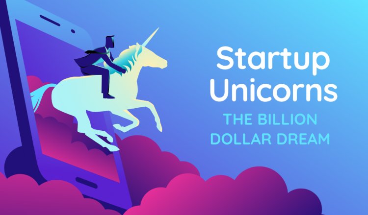 The ideal $1 billion dollar startup that every entrepreneur hopes to create.