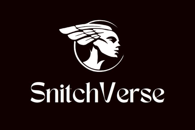 The Essential Footwear Brand for Fashion-Forward Ladies is SnitchVerse.
