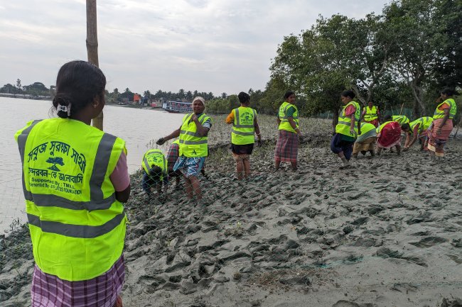 Sundarbans Gets Greener: 1.5 Lakh Mangrove Saplings Planted in Kumirmari, Gosaba Block – TMILL and Afflatus Foundation Gear Up for Another 1 Lakh Plantation This Year.